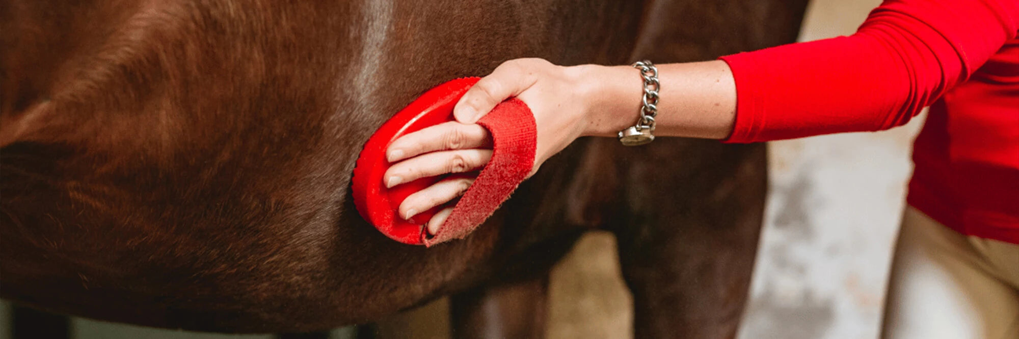 Horse Care & Grooming