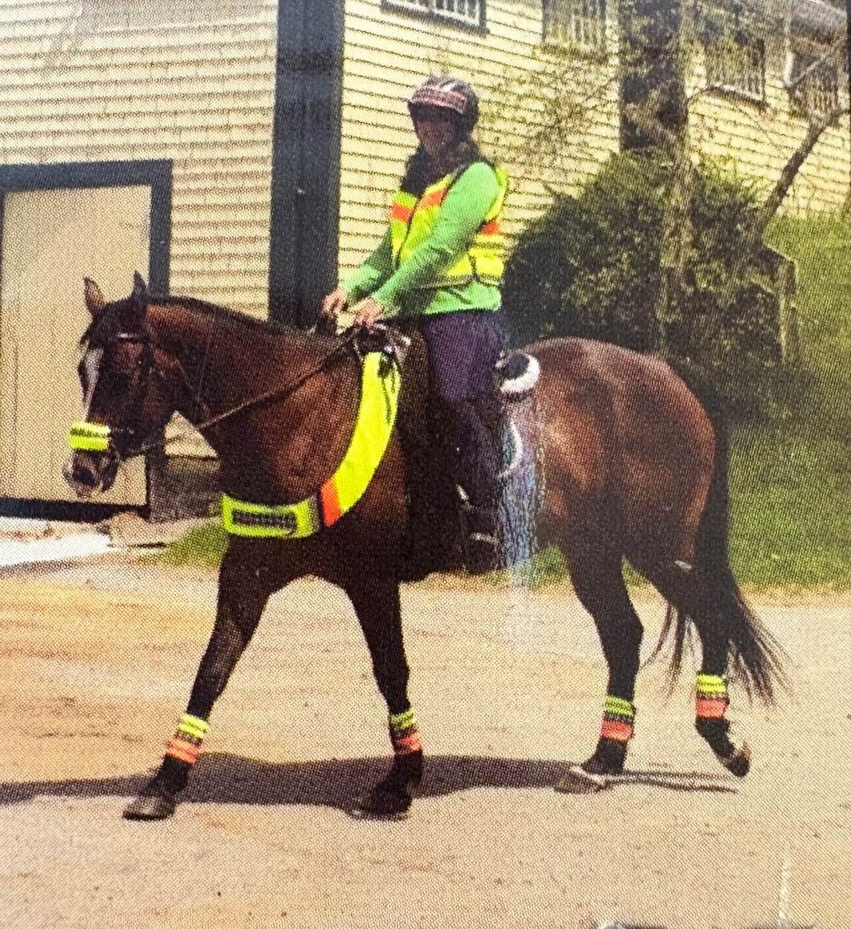 Saferider Reversible Chest Plate