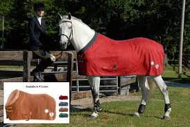 78" Moxie Equestrian Techno Sheet - Bordeaux