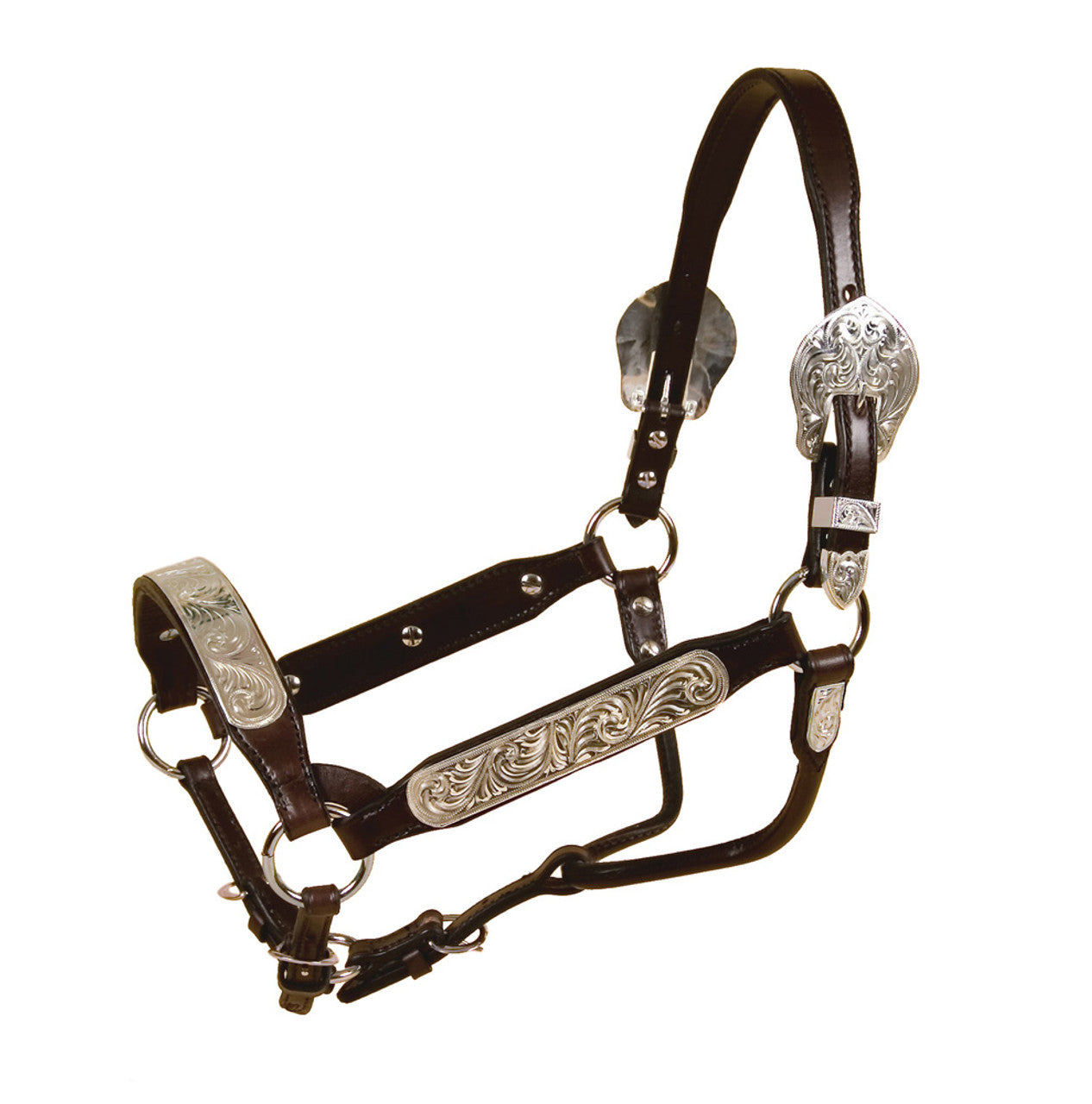 Tory Rochester Congree Style Halter w/ Lead in Dark Oil - Horse