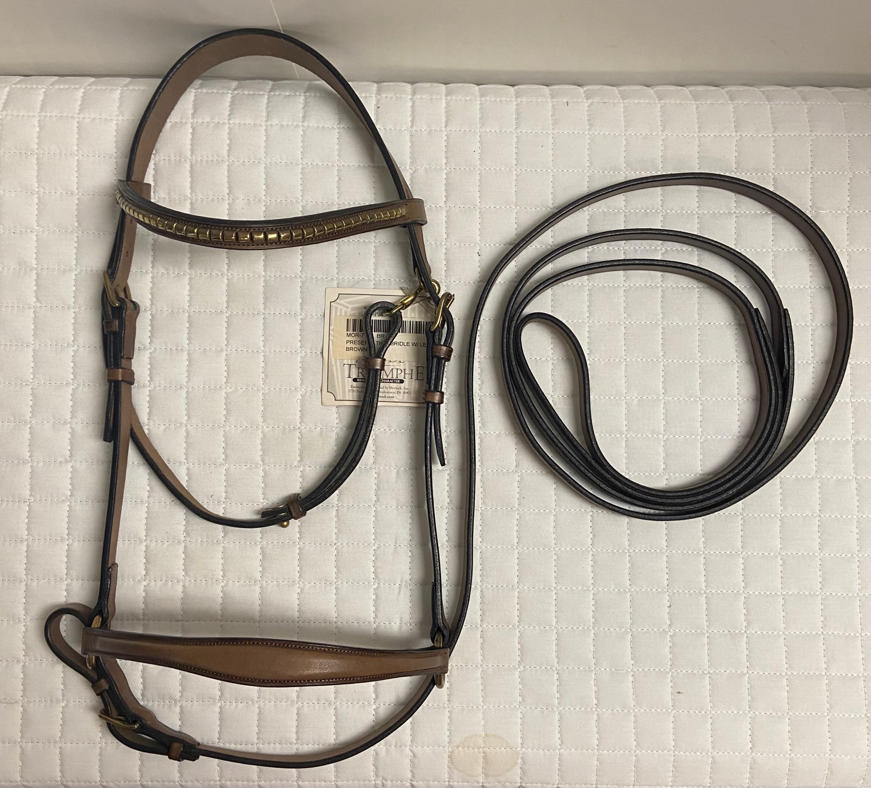 Arc De Triomphe Presentation Bridle