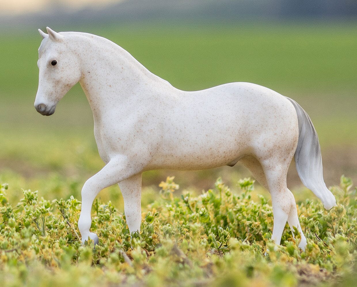 Breyer Caprechio del Richuelo *Preorder*