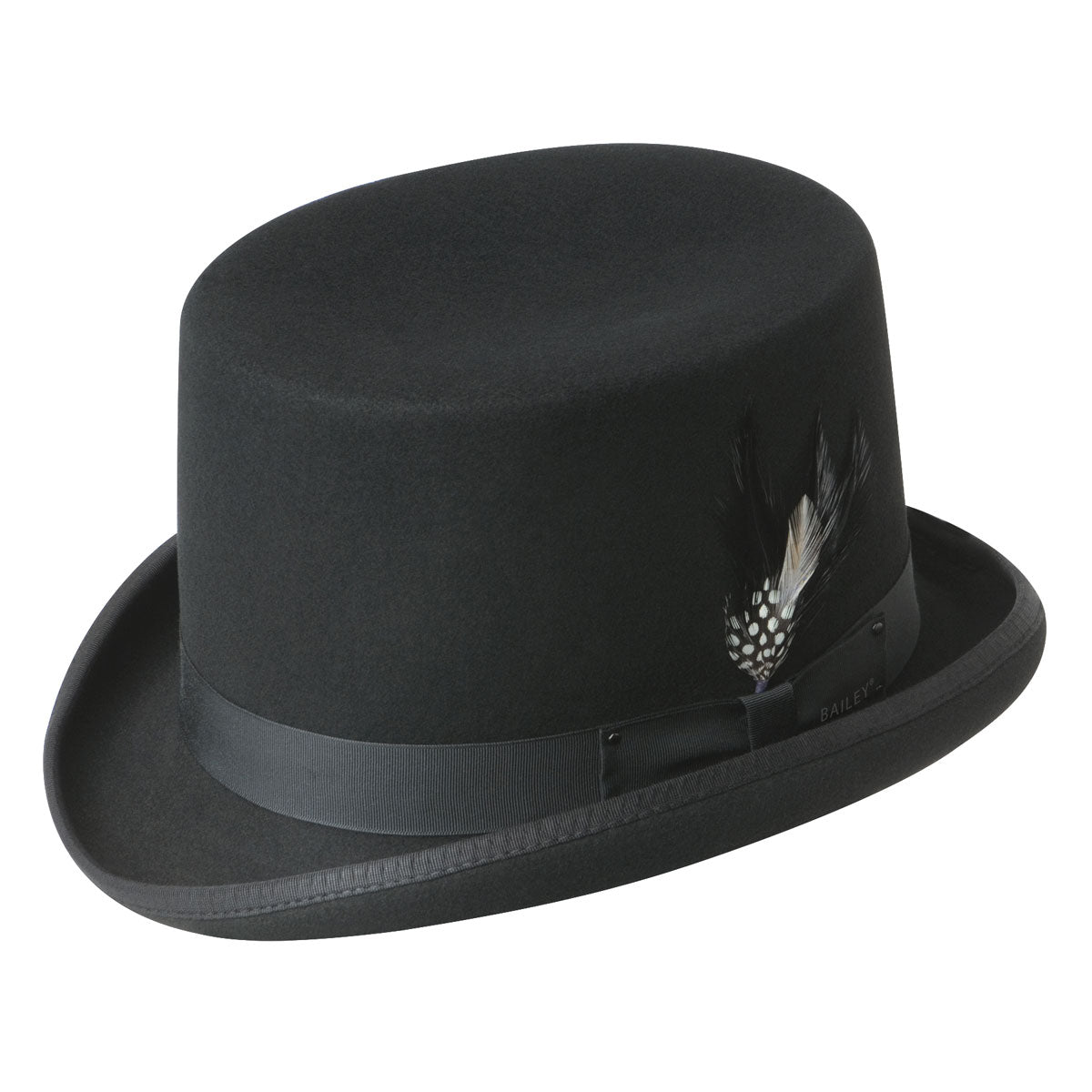 Bailey Ice Top Hat