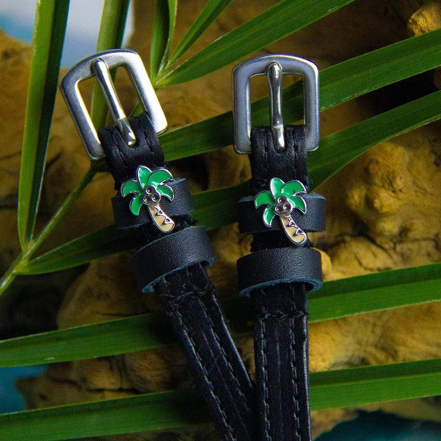 Dreamers & Schemers Spur Strap