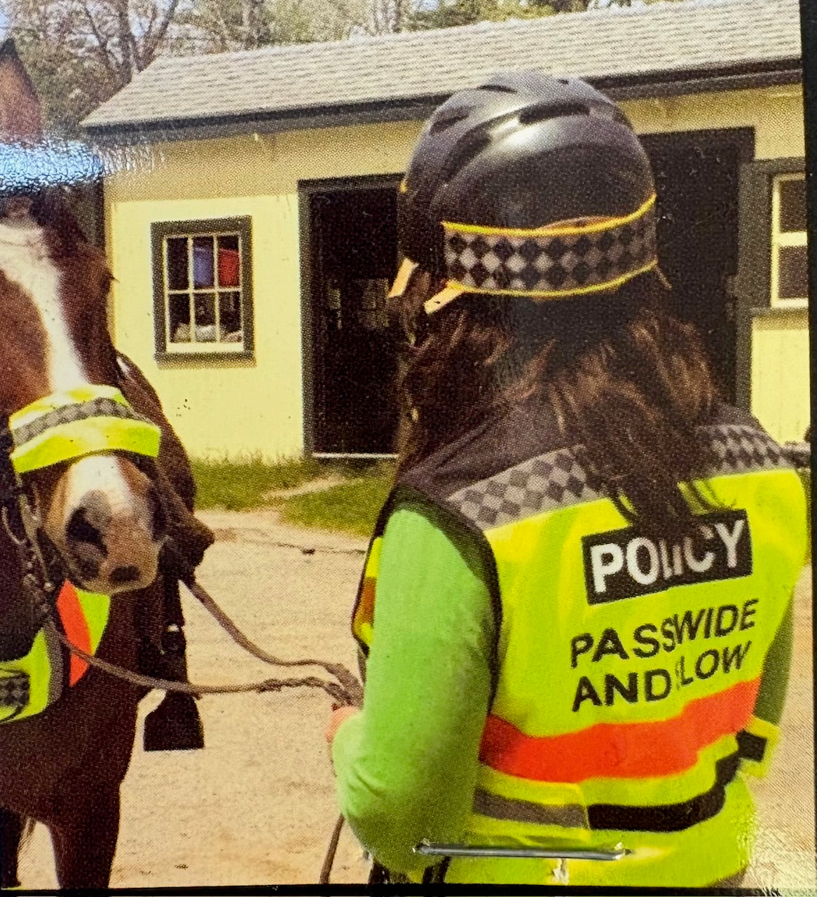 Saferider Reversible Helmet Cover