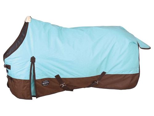 Reinsman Classic Rain Sheet - Turquoise w/ Brown