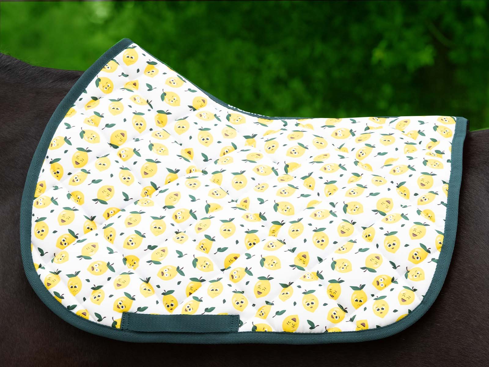 Dreamers & Schemers Pony AP Saddle Pads