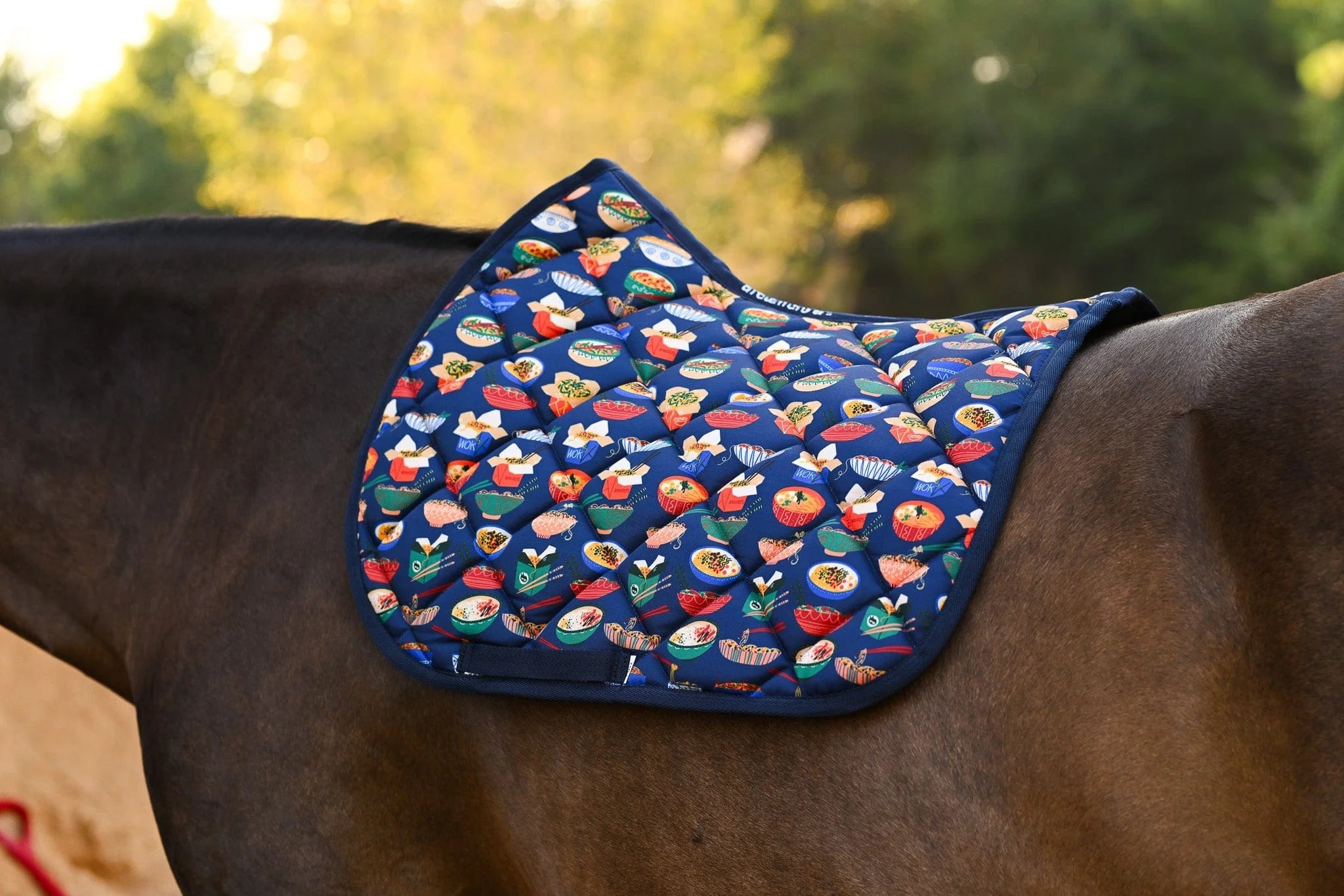 Dreamers & Schemers AP Saddle Pad