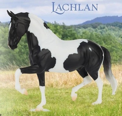 Breyer Lachlan Gift Certificate
